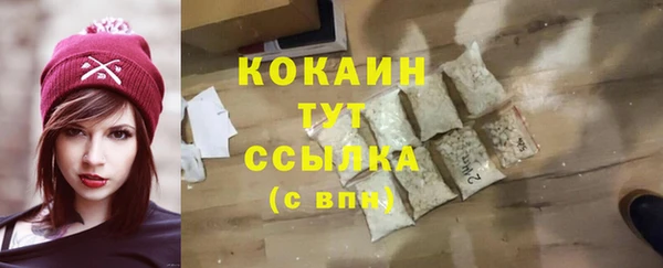 прущие грибы Кропоткин