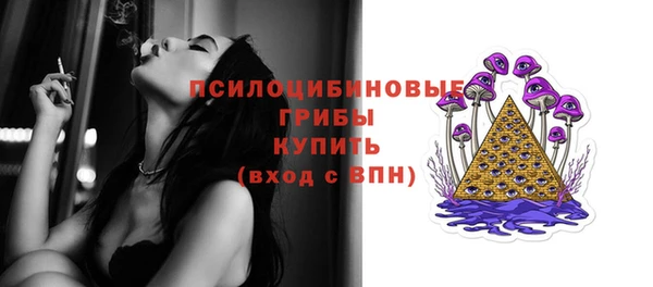 Альфа ПВП Вязьма