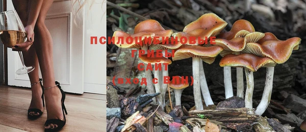 гашишное масло Медногорск
