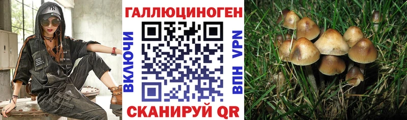 Галлюциногенные грибы мицелий blacksprut ссылка Моршанск где купить наркотик