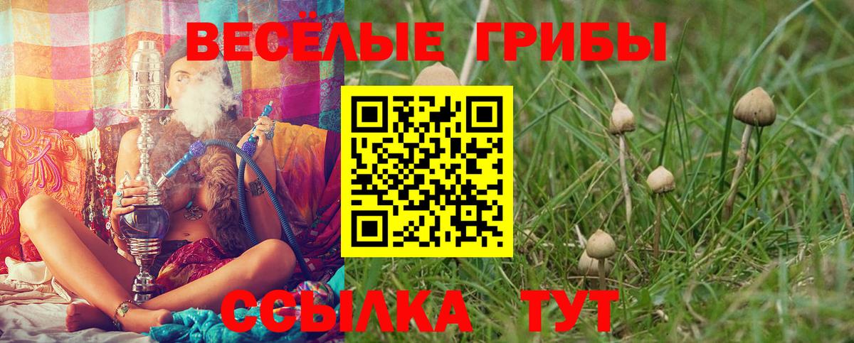 Галлюциногенные грибы MAGIC MUSHROOMS Моршанск
