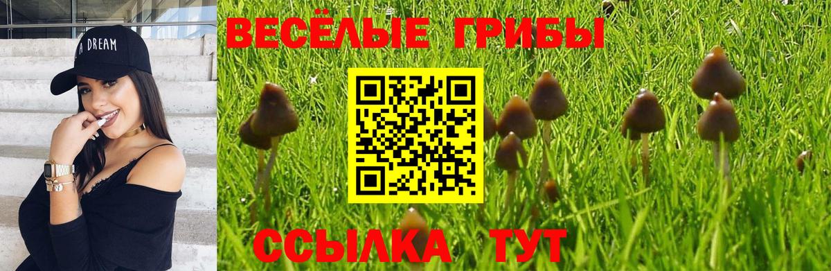 Галлюциногенные грибы MAGIC MUSHROOMS  Моршанск  Галлюциногенные грибы Psilocybine cubensis 