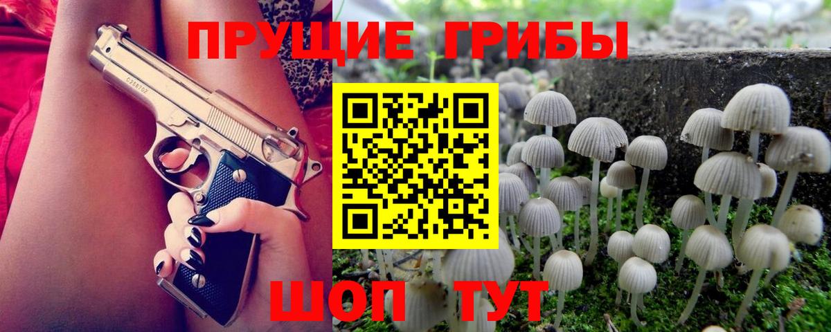 Галлюциногенные грибы Magic Shrooms Моршанск